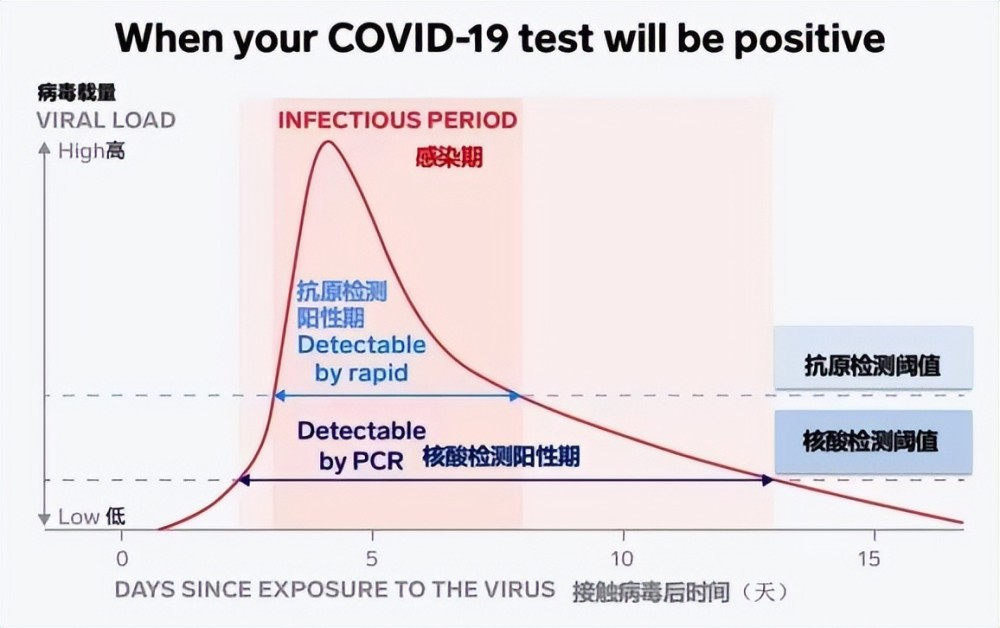 新冠陽了后，抗原需要天天做嗎？一看你就明白